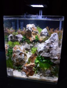 Aquascape by Marvin Lo