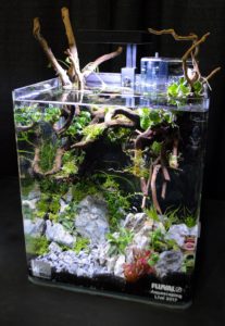 Aquascape by Brian Covey