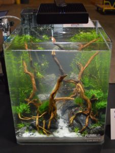 Aquascape by Danny Adams