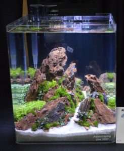 Aquascape by Edward Tang