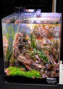 A second look at Sean Peck's entry, with a subtle difference noticed the second day. Lighting seems to be playing an important role in aquascaping these days!