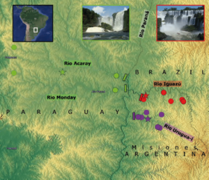 From the paper: Distribution of the G. setequedas group in Middle Paraná river basin. Colored localities show distribution of the G. setequedas group and material examined in the present study. Stars show type localities. Red: G. taroba, green: G. setequedas and violet: G. che. Inset photos show two of the major waterfalls in the area (Cataratas del Iguazú, Salto Monday) and localition of the study area within South America. Gymnogeophagus taroba (Teleostei: Cichlidae), a new species from the río Iguazú basin, Misiones, Argentina (PDF Download Available). Available from: https://www.researchgate.net/publication/322273180_Gymnogeophagus_taroba_Teleostei_Cichlidae_a_new_species_from_the_rio_Iguazu_basin_Misiones_Argentina [accessed Jan 11 2018].
