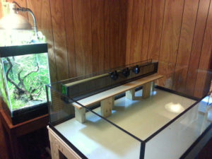 Glass coast-to-coast overflow under construciton in the 68-gallon, low & broad aquarium enclosure.