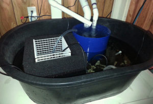 Sump filtration system detail.