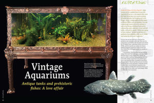 Gary Bagnall confesses his love affair with antique tanks and prehistoric fishes.