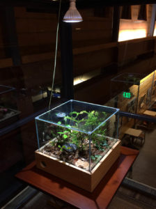 Terrarium Enclosure with LED LIghting