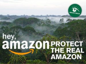 Hey Amazon, protect the real Amazon