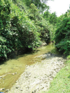 Domdomia stream, the type locality of Laubuka tenella, May 9th, 2015.