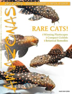 AMAZONAS Magazine, Volume 7, Number 3, RARE CATS!, an issue dedicated to the quirky species that breeding could one day make available to more hobbyists. On the cover: Pseudacanthicus sp. LDA 105 “Typhoon”, images by Hans-Georg Evers.