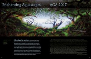 As aquascapers aroudn the globe are gearing up to compete in the Aquatic Gardeners Association's annual international Aquascaping Content this fall, we look back at what it took to win in 2017.