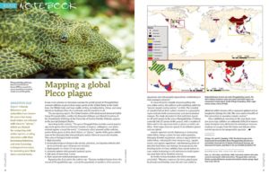 AQUATIC NOTEBOOK brings you news from around the aquarium and scientific communities. In this issue, we map the global spread of invasive plecos, remember the life of Felipe Cantera, examine the hypothesis that Blind Cave Tetras may hold secrets to help sleep-deprived humans, and take a gamble on the new tetra Moenkhausia sp. “Yellow Kogal”.