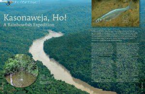 "There are some trips I will be talking about into old age," starts Hans Georg Evers,"—for example, my adventures in the virgin forest of the Mamberamo in New Guinea, far away from the usual conveniences of our western world. Almost everything went wrong on that trip—but this is one of the few remaining places on Earth where nature is still intact."