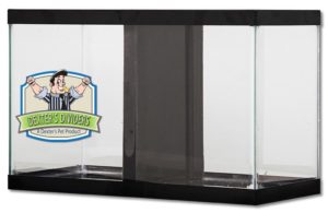 An example of a solid panel divider set up in an aquarium. These dividers can be modified as needed with commonly available tools.