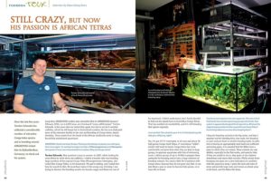 Long-time AMAZONAS readers may remember that in AMAZONAS January/ February 2012, our L-CATS issue, we introduced “crazy catfi sh keeper” Torsten Schwede. He has now dedicated most of his extensive facility to the care and breeding of Congo tetras, family Alestidae.