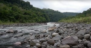 The primary headwaters of the Amazon River, as shared in a recent video from evolutionary biologist Nathan Lujan and Eddy Out Productions.
