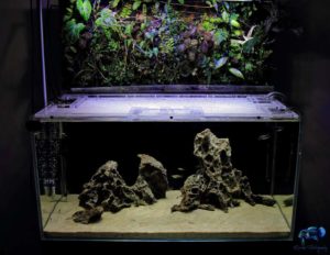FTS