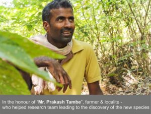 Mr. Prakash Tambe, the namesake for the common name of Prakash Barb for the newly-described Pethia sahit. Image credit: Unmesh Katwate