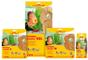 Pesticide-free Catappa Leaves and Alder Cones from sera