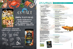 Our Table of Contents for the November/December 2018 issue of AMAZONAS Magazine: your guide for finding cover-to-cover must-read content and exciting features from expert contributors. Read the TOC online here.