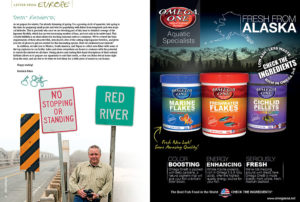 Why Japanese Ricefish? AMAZONAS Editor-In-Chief Friedrich Bitter explains: "We are devoting part of this issue to detailed coverage of the Japanese Ricefish, which has an ever-increasing number of fans, and not only in its native land. This colorful killifish is an ideal subject for stocking seasonal outdoor containers." And that's just the start of it!