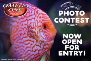 The Omega One Photo Contest closes October 31st, 2018.