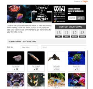 Click To Vote - Online voting in the 2018 Omega One Photo Contest, as of midday, 10/17/2018.