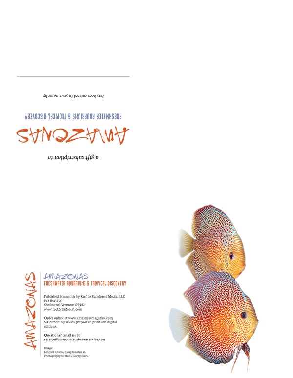 Click to download this printable AMAZONAS gift subscription announcement.
