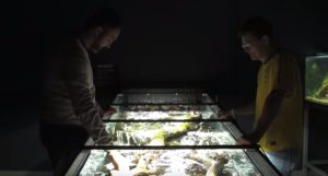 Leandro Sousa and Mark Sabaj Peréz standing over the iconic river-rapids aquarium at the Panta Rhei Fishhouse in 2013.
