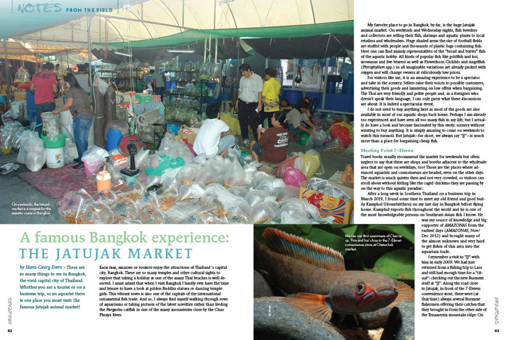 If you're one of those aquarists who visit any and all aquarium shops, this article is for you! Ever wonder how fish are sold in other countries? This installment of Notes From the Field from Hans-Georg Evers is full of photos and information about Bangkok fish markets - you won't find this information anywhere else!