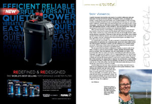 Introducing our issue, Executive Editor Ann Whitman shares that, "When I started out as a kid, I knew little about fish and just bought whatever I liked and my allowance would afford. While part of this is still true, my priorities, choice of fishes and what I find beautiful has matured."