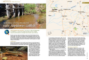 Author Hans-Georg Evers remarked that, "The chance to collect and photograph rare Aspirdoras sp. and discover exiting new fish species for scientific research made this adventure through central Brazil a trip of a lifetime." Immerse yourself in our Notes From the Field...