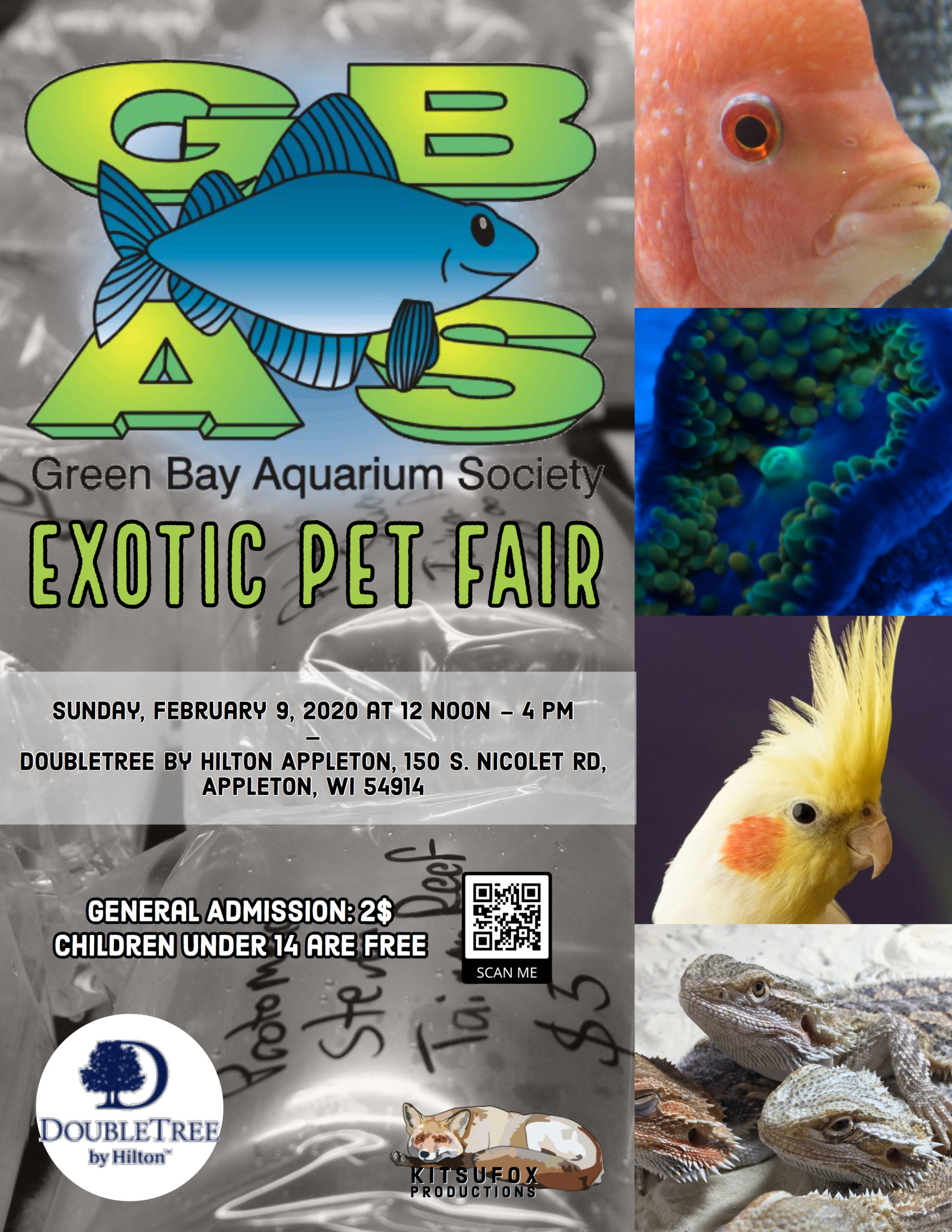 something exotic pets & aquatics