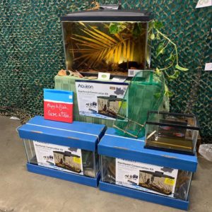 Rainforest Conservation Kits on display at the 2019 Aquatic Experience. Image Credit: Project Piaba