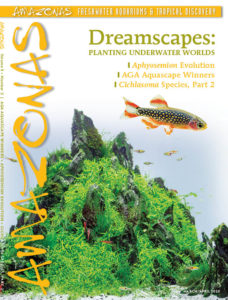 AMAZONAS Magazine, Volume 9, Number 2, DREAMSCAPES, on sale February 4th,, 2020! On the cover: Top: Nano aquarium and Danio margaritatus. Photo credits: Friedrich Bitter