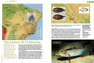 The History of Cichlasoma, Part 1, AMAZONAS Magazine, January/February 2020