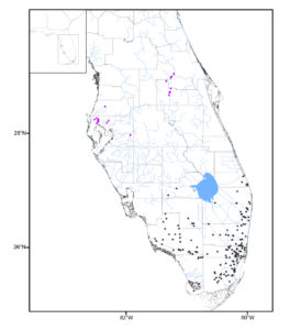 Distribution map of C. bimaculatum (black) and C. dimerus (purple) based on museum records. Published as figure 1 in Robins, Brown, & Crutchfield 2020.