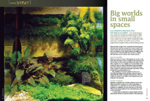 Attractively designed nano aquariums housing fascianting minature fishes and invertebrates are extremely popular, and represent an excellent starting point into the world of planted aquariums. Lou Herfurth kicks off our exploration of the art and craft of creating miniature aquascapes with the article "Big Worlds In Small Spaces".