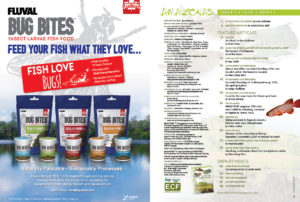The Table of Contents for the January/February, 2020 issue of AMAZONAS Magazine. You can view this TOC online!