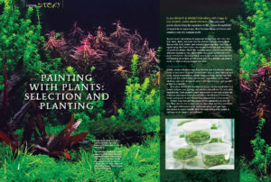 Vibrant, well-grown plants bring an aquarium to life. When thoughtfully arranged in an aquascape, they become living art: Author Lou Herfurth teaches you how to paint with plants.