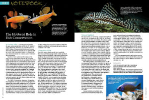 The Hobbyist Role in Fish Conservation, by Deputy Executive Editor Courtney Tobler, is an important lead into this issue's Aquatic Notebook. Also in this section: How zebra danio personalities influence their breeding success, and further discussion about breeding the Blue Eyed Pleco, Panaque cochliodon, which we first reported in the November/December 2019 issue.