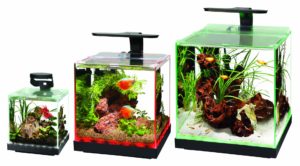 Aqueons' Edgelit rimless cube tank family includes the Edgelit 1, 3, and 6. Overhead lighting, heating, and filtration, are not included with these aquariums.