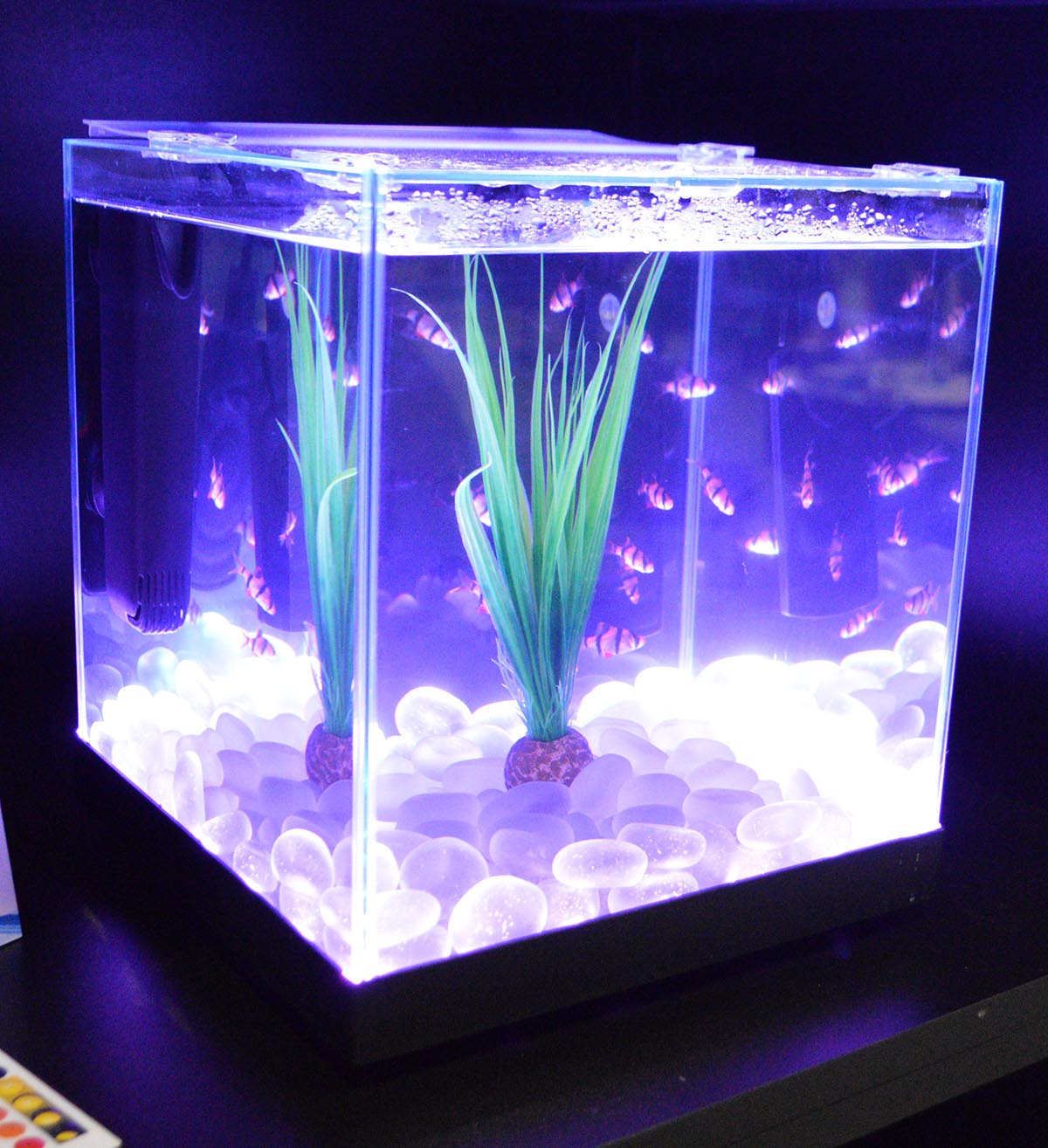 Edgelit Cube Aquariums