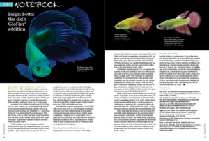 AQUATIC NOTEBOOK returns with our official reporting of Spectrum Brand's Glofish Betta release. Also in this installment, Goodied Conservation at the Chester Zoo, rediscovery of a lost Hypostomus species, and our report from the 2020 Global Pet Expo in Orlando, Florida.