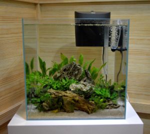 A beautifully aquascaped aquarium on display as part of the OASE Indoor Aquatics display.