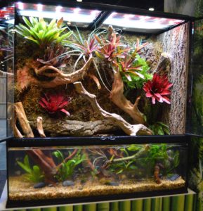 Zoo Med's set up several large-scale paludariums to showcase the merger of terrestrial and aquatic displays.