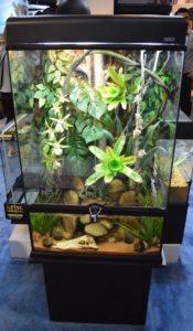 Exo Terra's Advanced Paludarium & Rainforest Terrarium.