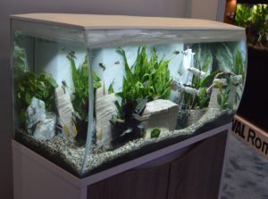 The Fluval Flex, 32.5 gallons, in white.