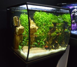 The Fluval Flex aquarium in black.