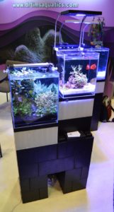 Lifegard's Elevated series of aquariums dominated the Dr. Tim's Aquatics display.