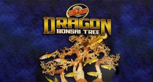 Zoo Med's new award-winning Dragon Bonsai Tree aquascaping product garnered a lot of attention at the 2020 Global Pet Expo in Orlando, Florida.